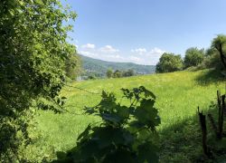 Foto_09.05.18_12_56_17