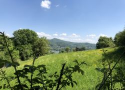 Foto_09.05.18_12_56_40