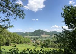 Foto_09.05.18_12_59_26