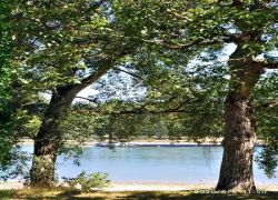 Foto_05.08.20_19_25_40