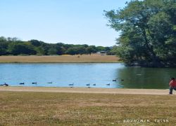 Foto_05.08.20_19_25_42