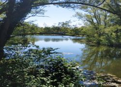 Foto_05.08.20_19_25_43_1