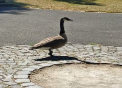 Foto_05.08.20_19_25_44_4