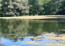 Foto_05.08.20_19_25_45_3