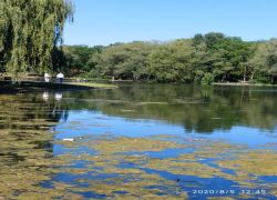 Foto_05.08.20_19_25_46_1