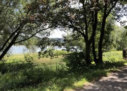 Foto_29.07.20_12_27_26