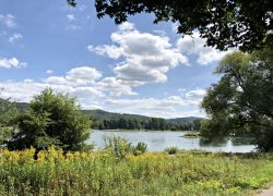 Foto_29.07.20_12_31_31