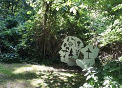 Foto_29.07.20_12_54_44