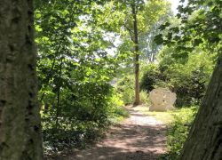 Foto_29.07.20_12_56_46