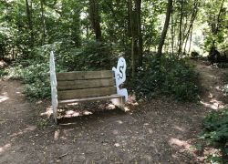 Foto_29.07.20_13_00_13