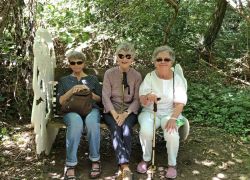 Foto_29.07.20_13_01_31