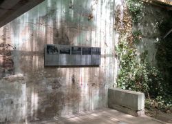 Foto_29.07.20_13_07_16