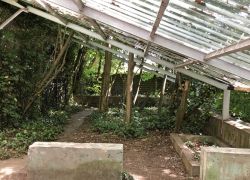 Foto_29.07.20_13_07_21