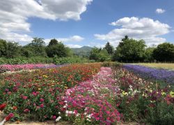 Foto_29.07.20_13_12_12