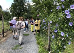 Foto_29.07.20_13_13_52