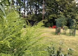 Foto_29.07.20_13_15_24