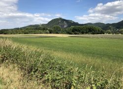 Foto_29.07.20_13_20_43