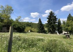 Foto_29.07.20_13_32_31