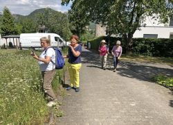 Foto_29.07.20_13_33_34