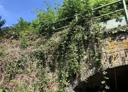 Foto_29.07.20_14_21_42