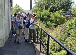 Foto_29.07.20_14_21_56