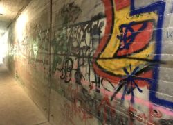 Foto_29.07.20_14_23_01