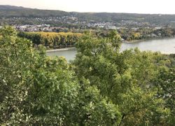 Foto 21.10.20 14 52 09