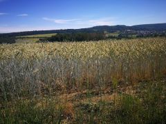 04_IMG_20220622_111751