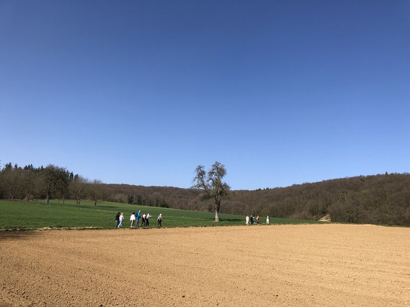 Foto 23.03.22 12 55 26.jpg