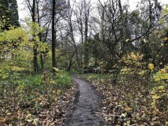 Foto_25.11.23_12_39_15
