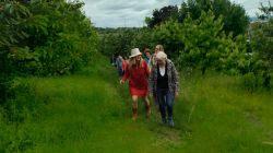 Traumpfad_Streuobstwiesen_01 Traumpfad_Streuobstwiesen_01