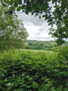 Traumpfad_Streuobstwiesen_05 Traumpfad_Streuobstwiesen_05