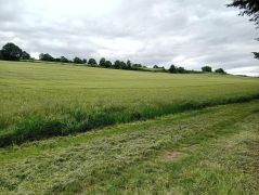 Traumpfad_Streuobstwiesen_07 Traumpfad_Streuobstwiesen_07