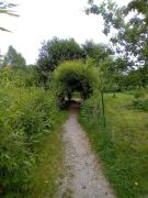 Traumpfad_Streuobstwiesen_09 Traumpfad_Streuobstwiesen_09