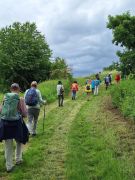 Traumpfad_Streuobstwiesen_16 Traumpfad_Streuobstwiesen_16