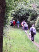 Traumpfad_Streuobstwiesen_17 Traumpfad_Streuobstwiesen_17