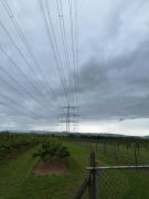 Traumpfad_Streuobstwiesen_19 Traumpfad_Streuobstwiesen_19