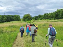 Traumpfad_Streuobstwiesen_21 Traumpfad_Streuobstwiesen_21