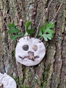 Traumpfad_Streuobstwiesen_22 Traumpfad_Streuobstwiesen_22