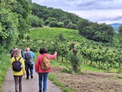 Traumpfad_Streuobstwiesen_23 Traumpfad_Streuobstwiesen_23