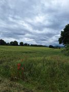 Traumpfad_Streuobstwiesen_24 Traumpfad_Streuobstwiesen_24