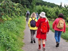 Traumpfad_Streuobstwiesen_25 Traumpfad_Streuobstwiesen_25