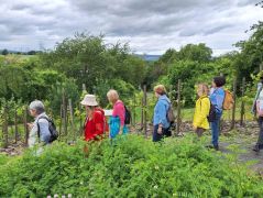 Traumpfad_Streuobstwiesen_28 Traumpfad_Streuobstwiesen_28