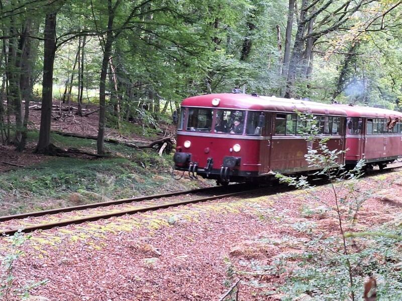 Mit dem Schienenbus durch das Kasbachtal 12