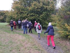 Heimersheim-Landskrone_06