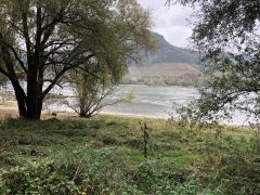Foto_30.10.24_13_11_31
