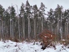 2025 01 11 Naturerlebnis Berggeistweiher 04