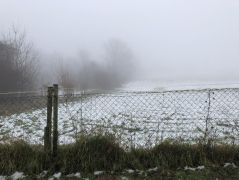 2025-01-15_Rund_um_den_Rodderberg_03