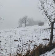 2025-01-15_Rund_um_den_Rodderberg_07