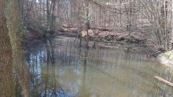 02 20250412 Naturpark Rheinland